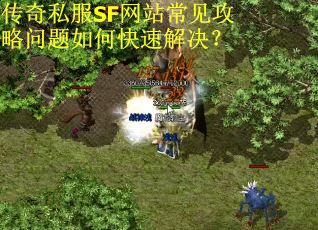 传奇私服SF网站常见攻略问题如何快速解决？