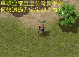 单职业带宝宝传奇新手如何快速提升宝宝战斗力? 单职业带宝宝传奇新手如何快速提升宝宝战斗力?