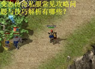 变态传奇私服常见攻略问题与技巧解析有哪些？
