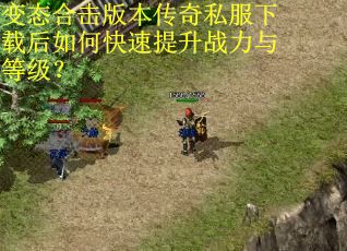 变态合击版本传奇私服下载后如何快速提升战力与等级? 变态合击版本传奇私服下载后如何快速提升战力与等级?