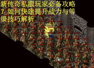 新传奇私服玩家必备攻略？如何快速提升战力与等级技巧解析