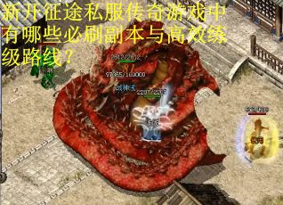 新开征途私服传奇游戏中有哪些必刷副本与高效练级路线？