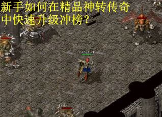 新手如何在精品神转传奇中快速升级冲榜？