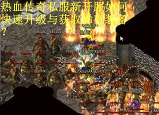 热血传奇私服新开服如何快速升级与获取稀有装备? 热血传奇私服新开服如何快速升级与获取稀有装备?