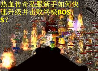 热血传奇私服新手如何快速升级并击败终极BOSS? 热血传奇私服新手如何快速升级并击败终极BOSS?