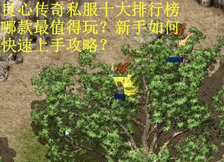 良心传奇私服十大排行榜哪款最值得玩?新手如何快速上手攻略? 良心传奇私服十大排行榜哪款最值得玩?新手如何快速上手攻略?