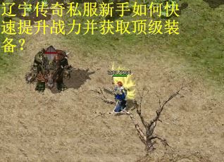 辽宁传奇私服新手如何快速提升战力并获取顶级装备? 辽宁传奇私服新手如何快速提升战力并获取顶级装备?