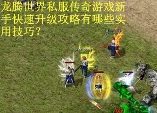 龙腾世界私服传奇游戏新手快速升级攻略有哪些实用技巧？