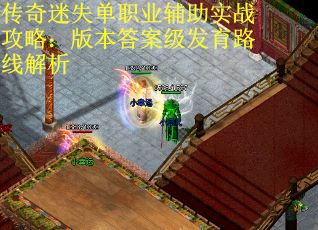 传奇迷失单职业辅助实战攻略：版本答案级发育路线解析