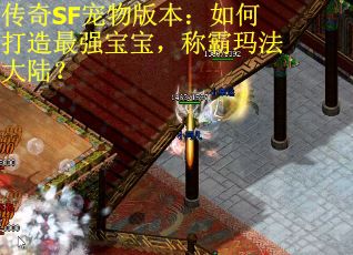 传奇SF宠物版本：如何打造最强宝宝，称霸玛法大陆？