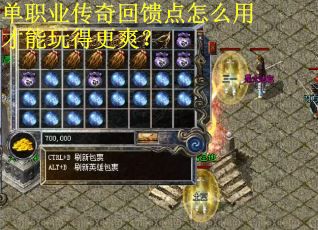 单职业传奇回馈点怎么用才能玩得更爽？