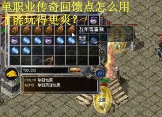 单职业传奇回馈点怎么用才能玩得更爽？