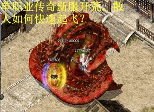 单职业传奇新服开荒，散人如何快速起飞？