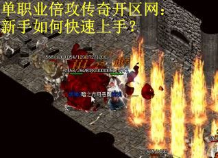 单职业倍攻传奇开区网：新手如何快速上手？