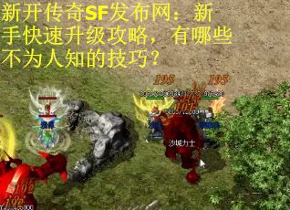 新开传奇SF发布网：新手快速升级攻略，有哪些不为人知的技巧？
