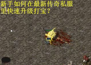 新手如何在最新传奇私服里快速升级打宝？