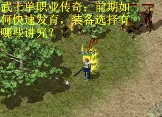 武士单职业传奇：前期如何快速发育，装备选择有哪些讲究？