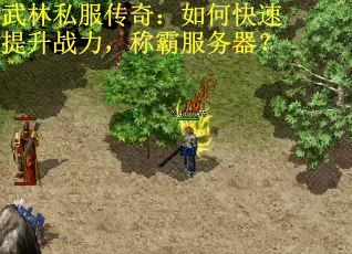 武林私服传奇：如何快速提升战力，称霸服务器？