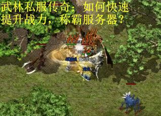 武林私服传奇：如何快速提升战力，称霸服务器？