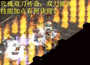 玫瑰双刀传奇：双刀流派技能加点有何诀窍？