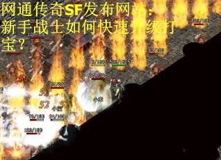 网通传奇SF发布网站：新手战士如何快速升级打宝？