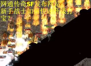 网通传奇SF发布网站：新手战士如何快速升级打宝？