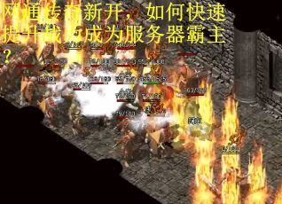 网通传奇新开，如何快速提升战力成为服务器霸主？