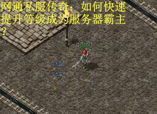 网通私服传奇：如何快速提升等级成为服务器霸主？