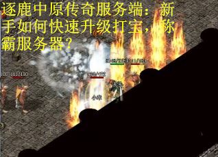 逐鹿中原传奇服务端：新手如何快速升级打宝，称霸服务器？