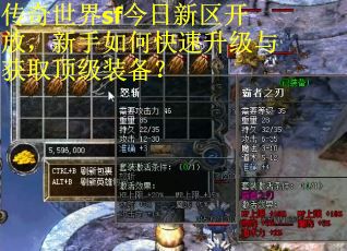 传奇世界sf今日新区开放，新手如何快速升级与获取顶级装备？