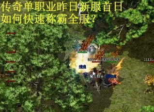 传奇单职业昨日新服首日如何快速称霸全服？