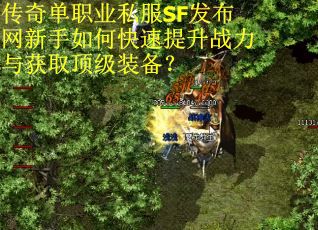 传奇单职业私服SF发布网新手如何快速提升战力与获取顶级装备？