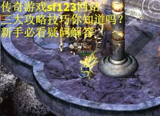 传奇游戏sf123网站三大攻略技巧你知道吗？新手必看疑问解答
