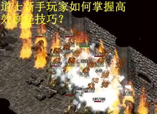 道士新手玩家如何掌握高效刷怪技巧？