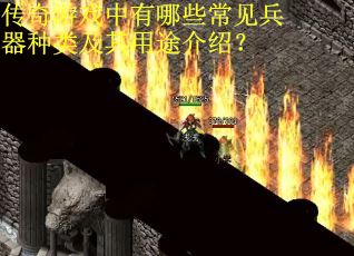 传奇游戏中有哪些常见兵器种类及其用途介绍？