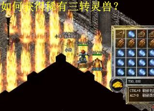 如何获得稀有三转灵兽？