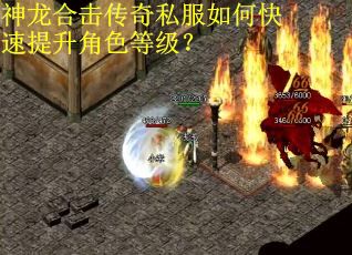 神龙合击传奇私服如何快速提升角色等级？
