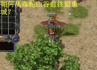 如何从毒蛇山谷前往盟重城？