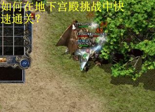 如何在地下宫殿挑战中快速通关？