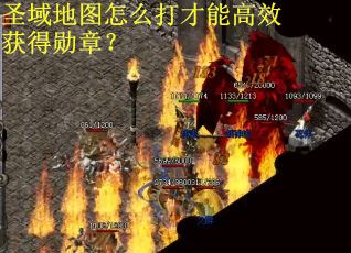 圣域地图怎么打才能高效获得勋章？