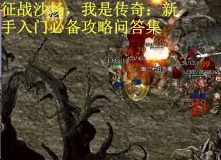 征战沙场，我是传奇：新手入门必备攻略问答集