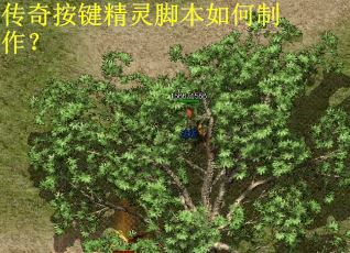 传奇按键精灵脚本如何制作？