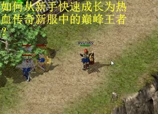 如何从新手快速成长为热血传奇新服中的巅峰王者？