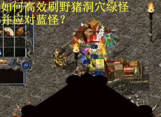 如何高效刷野猪洞穴绿怪并应对蓝怪？