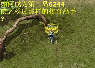如何成为第二岛6244侠之杨过那样的传奇高手？
