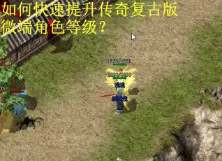 如何快速提升传奇复古版微端角色等级？