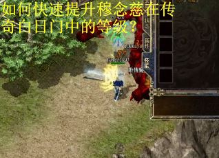 如何快速提升穆念慈在传奇白日门中的等级？