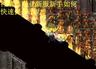 神墓单职业新服新手如何快速提升战力？